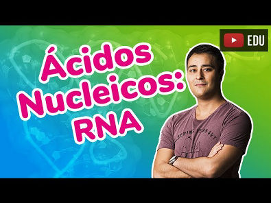 Ácidos Nucleicos - RNA - Compostos Orgânicos - Prof. Paulo Jubilut