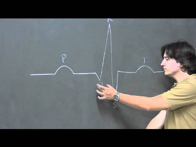 Eletrocardiograma - Prof. Rodrigo Storck