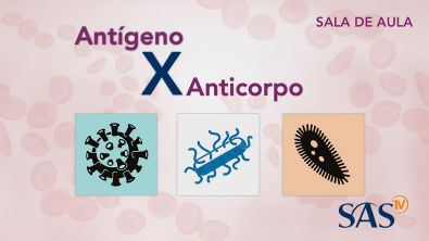 Antígeno X Anticorpo