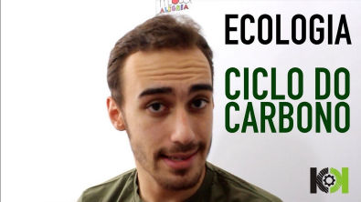 Ecologia - Ciclo do Carbono