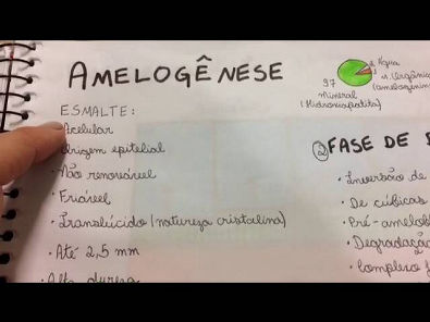 Amelogênese