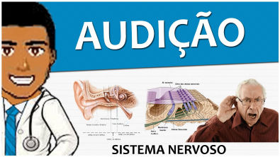 Sistema Nervoso 18 – Anatomia e Fisiologia da audição - Vídeo aula