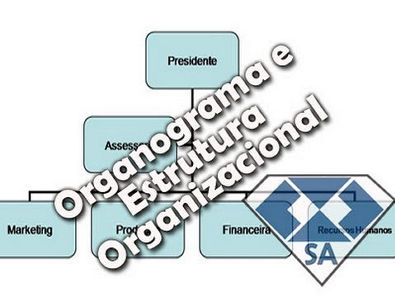 Estrutura Organizacional e Organograma - Processo de organização (6/6)