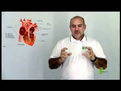 Vídeo Aula de Sistema Circulatório - UAB IFPA