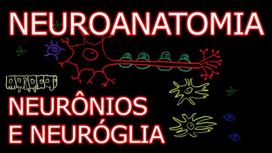 Neuroanatomia #2 - Neurônios e Neuróglia