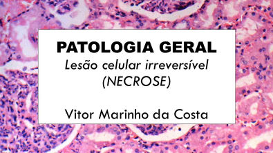 Lesão irreversível (NECROSE) - PARTE III