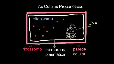 Células procarióticas e eucarióticas