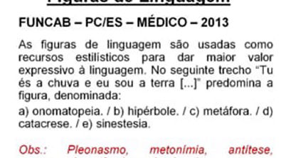 fernandopestana portugues gramatica modulo03 016 low