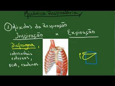Mecânica Respiratória: Complacências - Resumo - Fisiologia