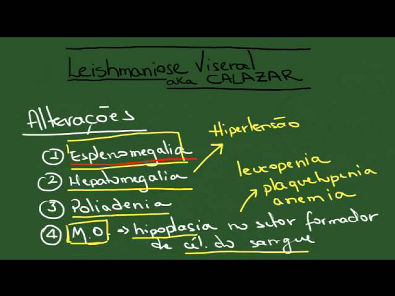 Leishmaniose Visceral (Calazar) - Resumo - Parasitologia