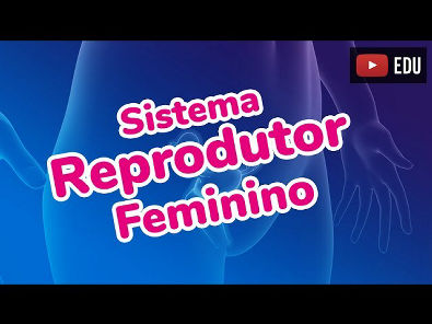 SISTEMA REPRODUTOR FEMININO - Prof. Paulo Jubilut