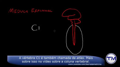 Neuroanatomia 3   Medula Espinal