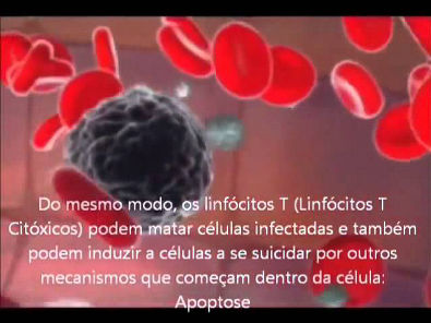 Sistema Imune - Imunologia .flv