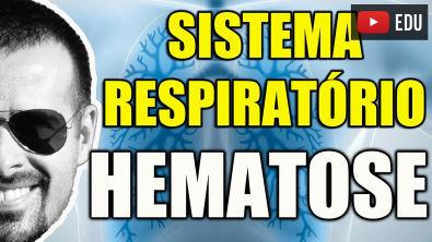 Vídeo Aula 105 - Anatomia Humana - Sistema Respiratório - Hematose: A Troca de Gases nos Pulmões