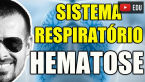material thumbnail image