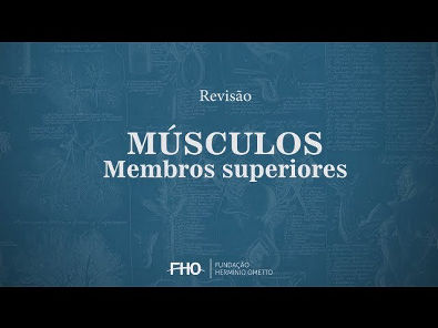 Músculos - Membros Superiores - Anatomia Humana