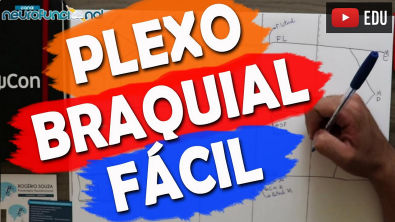 PLEXO BRAQUIAL DE FORMA FÁCIL - Macete