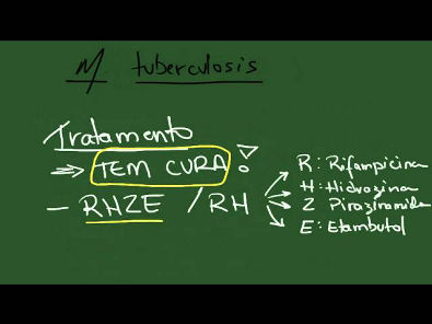 Mycobacterium tuberculosis e leprae - Resumo - Microbiologia