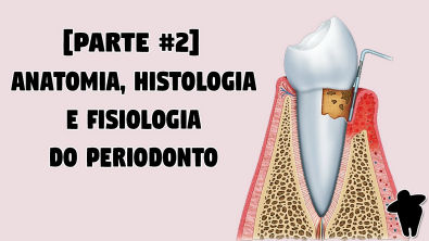 Parte 2 - Anatomia, Histologia e Fisiologia do Periodonto - Concursos Para Dentistas