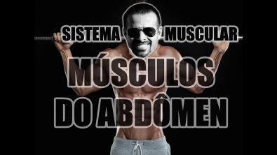 Vídeo Aula 112 - Anatomia Humana - Sistema Muscular: Músculos do Abdômen (Reto Abdominal e Oblíquos)
