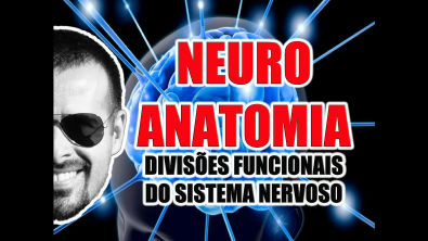 Vídeo Aula 071 - Neuroanatomia: Divisões funcionais do Sistema Nervoso (Somático e Visceral)