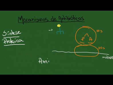 Mecanismos de Antibióticos e Resistência Bacteriana - Resumo - Microbiologia