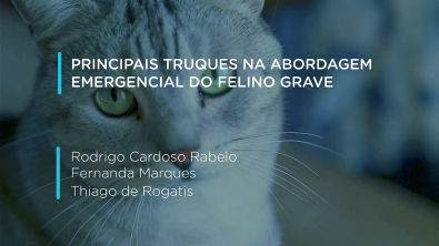Principais Truques na Abordagem Emergencial do Felino Grave  | Prof. Rodrigo Cardoso Rabelo