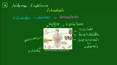 Sistema Endócrino - Introdução