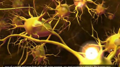 Nerve Impulse Molecular Mechanism [3D Animation] - Biologia Celular