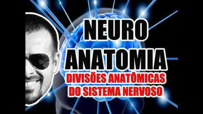 Vídeo Aula 068 - Neuroanatomia: Divisões anatômicas do Sistema Nervoso (SNC, SNP e SNA)