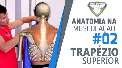 Encolhimento de Ombros - Trapézio Superior - Anatomia na Musculação #2