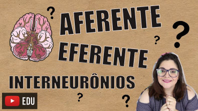 AFERENTE, EFERENTE E INTERNEURÔNIOS - NEUROSTUDENT #33