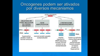 ciclo celular, oncogenes e genes supressores de tu