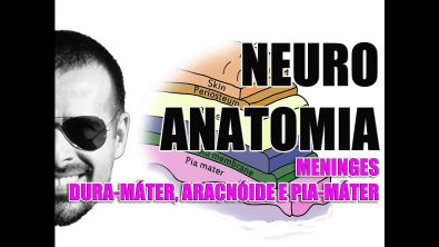 Vídeo Aula 077 - Sistema Nervoso/Neuroanatomia - Meninges: Dura-máter, aracnóide e pia-máter