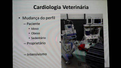Jornada do Conhecimento TECSA - Cardiologia Veterinária - Dr. Marthin Raboch Lempe
