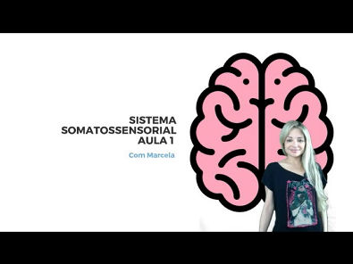 Sistema Somatossensorial 1 - Neuro