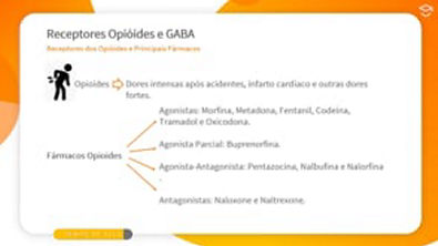 Aula 04 - Receptores opioides e GABA