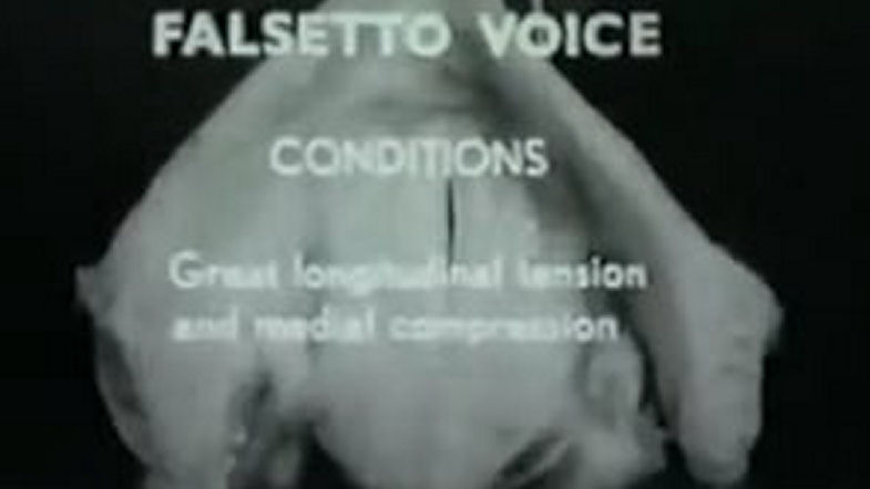 The Vibrating Larynx - contd part 34