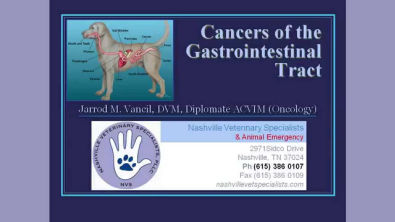 Cancers of the Gastrointestinal Tract