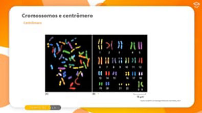 Aula 5 - Cromossomos e centrômero