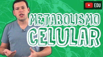Biologia - Bioenergética - Metabolismo Celular