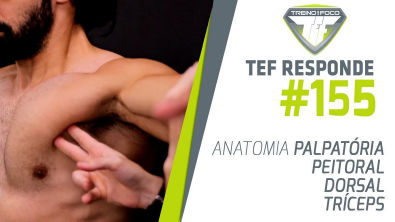 Anatomia Palpatória - Peitoral, Dorsal e Tríceps na Adução do Ombro - TEF Responde #155