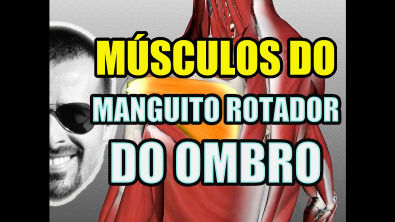 Vídeo Aula 119 - Anatomia Humana - Sistema Muscular: Músculos do Manguito Rotador do Ombro (ações)