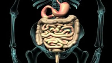 ee