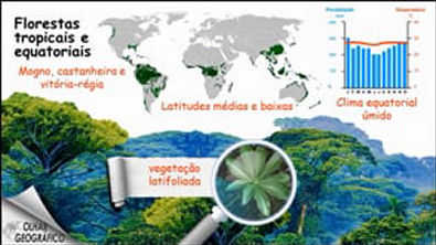 Climas e vegetações