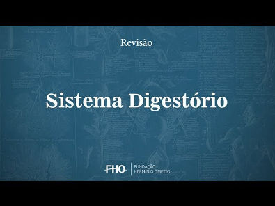 Sistema Digestório - Anatomia Humana