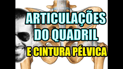 Vídeo Aula 115 - Anatomia Humana - Sistema Articular - Articulações do Quadril e da Cintura Pélvica