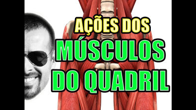 Vídeo Aula 116 - Anatomia Humana - Sistema Muscular: Ações dos Músculos do Quadril