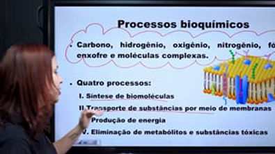 Introdução à Bioquímica - Brasil Escola