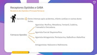 Direto ao Ponto: Receptores dos Opióides e Principais Fármacos